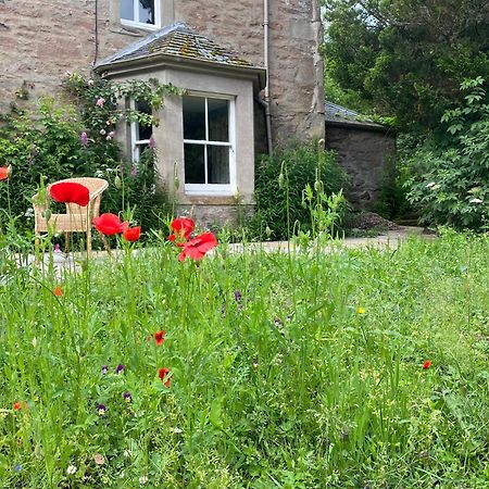 Saint Martins  Organic Welltree Bed & Breakfast エクステリア 写真